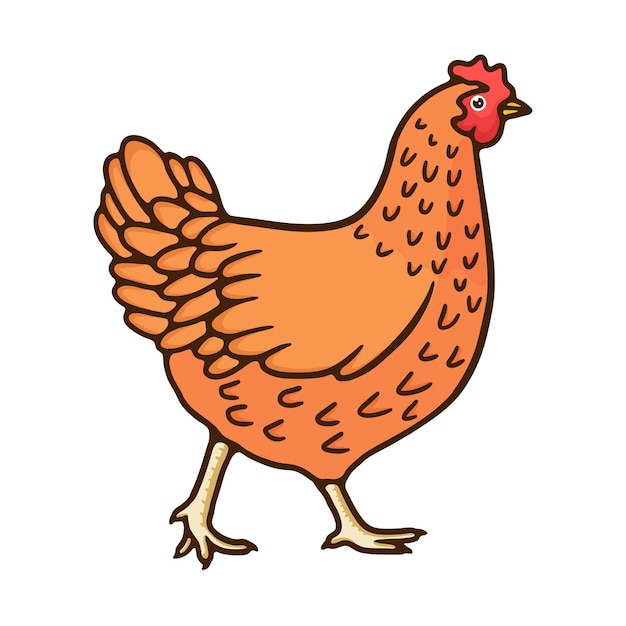 ilustração animal frango bom para a educação