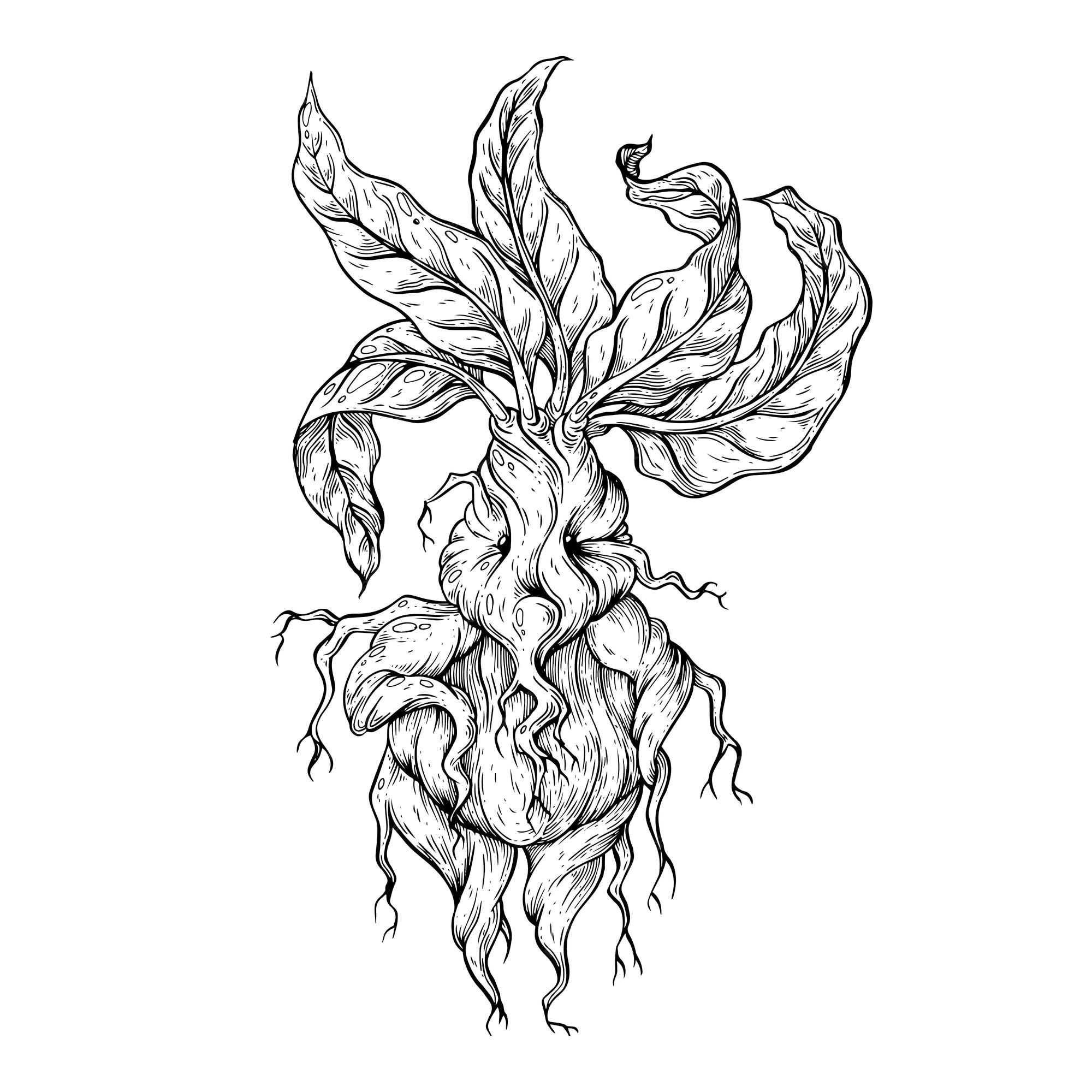 tatuagem de mandrake desenho