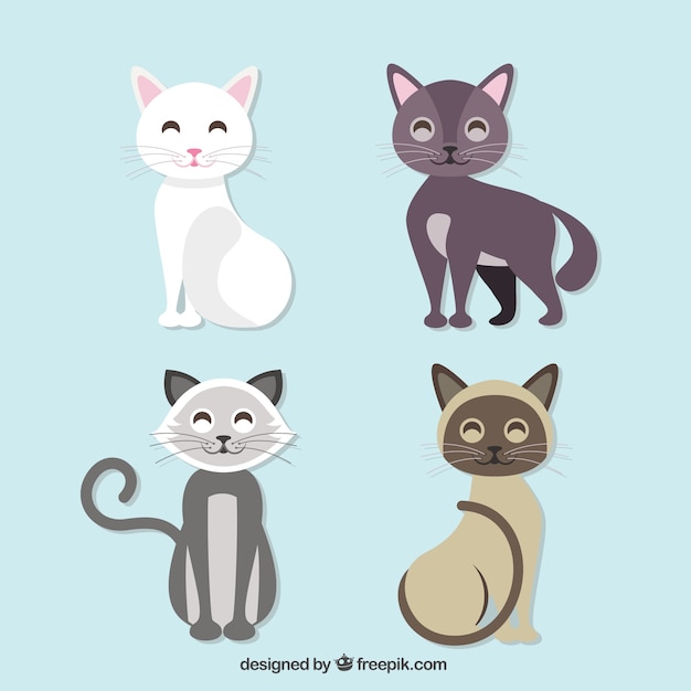 Ilustração bonito livre gato preto