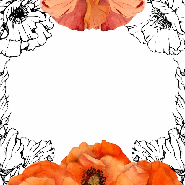 Ilustração botânica de aquarela desenhada à mão flores folhas de papoula vermelha caules de papaver botões de sementes