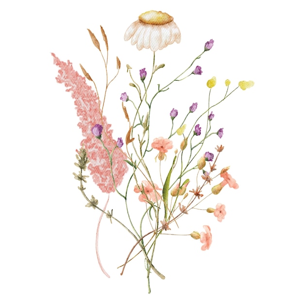 Ilustração botânica desenhada à mão de buquê de aquarela de flores silvestres