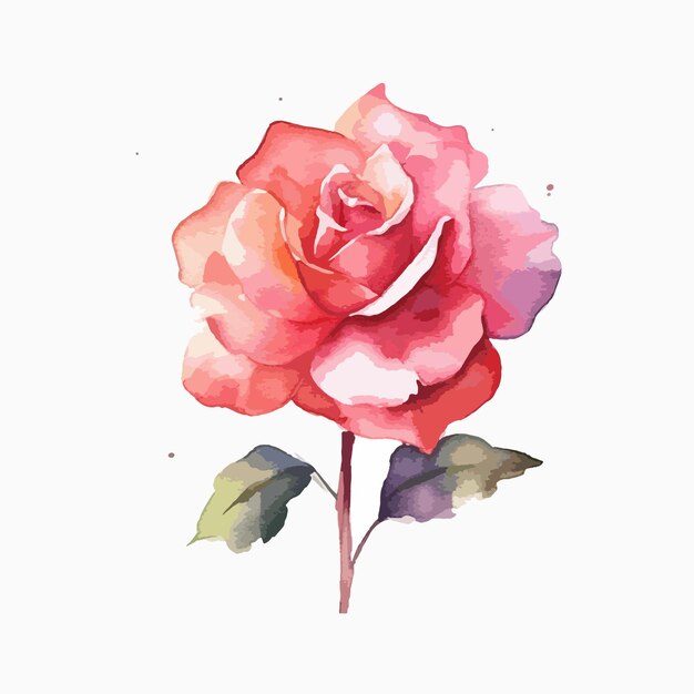 Ilustração cativante de aquarela com a graça de uma rosa