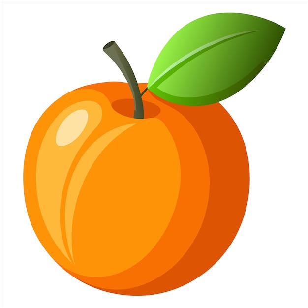 ilustração colorida de fruto de damasco