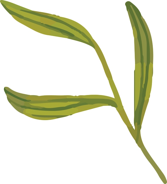 ilustração colorida de pétalas de flores e folhas clip art para design de papel de parede de fundo