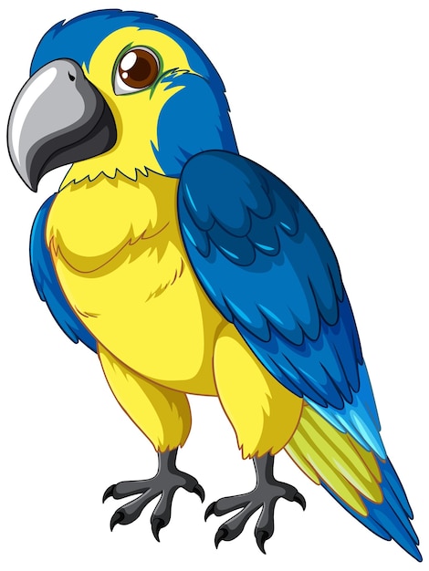 Ilustração colorida do vetor do papagaio