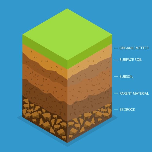 Vetor ilustração conceitual de vetor plano isométrico 3d de camada de solo fértil