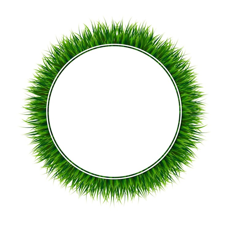 Vetor ilustração da borda da grama