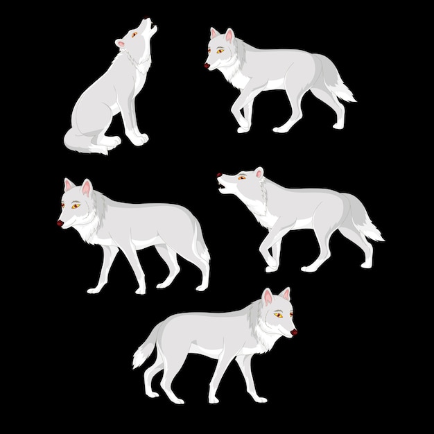 Vetor ilustração da coleção de desenhos animados do lobo branco