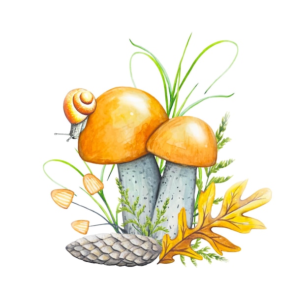 Ilustração da composição da aquarela da floresta do outono com caracol do cone das folhas secas dos cogumelos