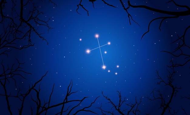 Ilustração da constelação crux. galhos de árvores, céu estrelado azul escuro, cosmos