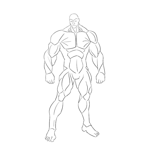 Vetor ilustração da estrutura anatômica do corpo masculino desenhada à mão