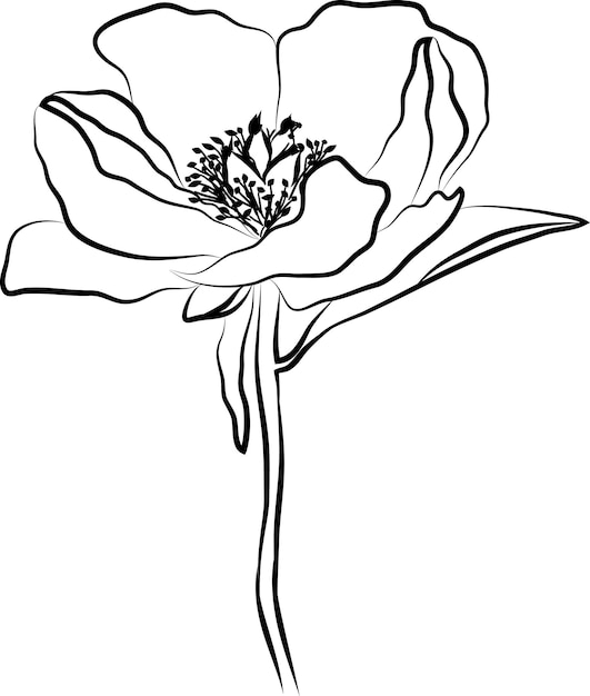 Ilustração da flor. Elemento de desenho vetorial.