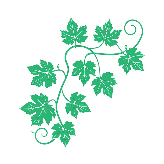 Ilustração da videira verde