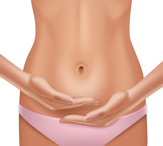 Ilustração das mãos da mulher mostrando a barriga isolada no fundo branco. conceito de saúde da mulher