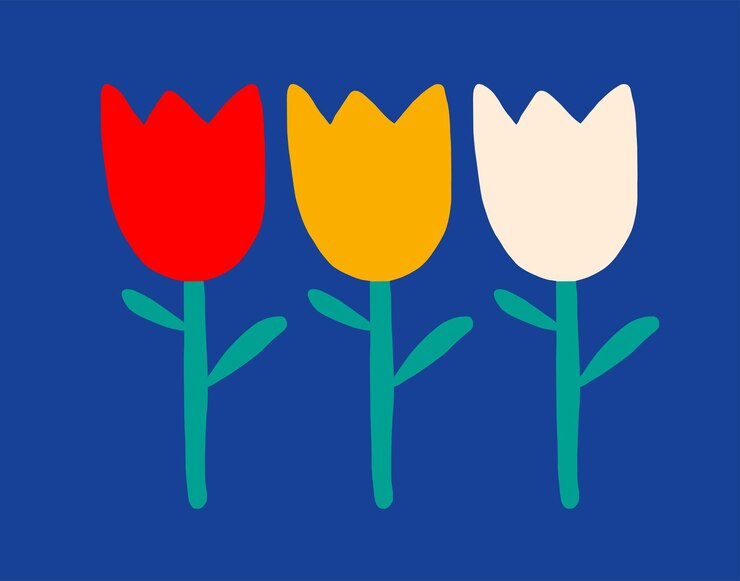Vetor ilustração de 3 tulipas de jardim holandesas multicoloridas