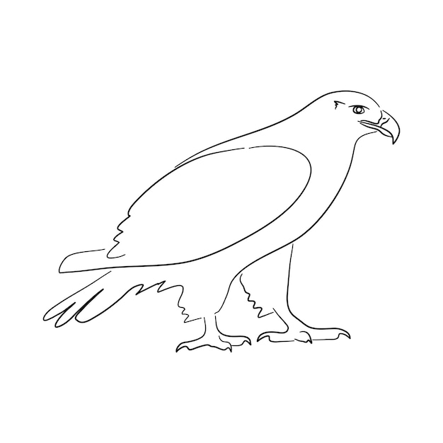Ilustração de águia em estilo doodle vetor isolado em um fundo branco