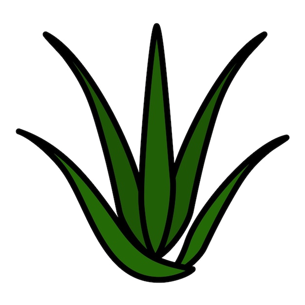 Ilustração de Aloevera Flat