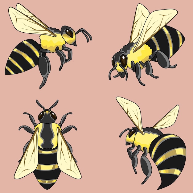 Vetor ilustração de animais, conjunto de desenhos vetoriais de abelhas