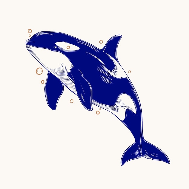 Ilustração de animais marinhos desenhada à mão