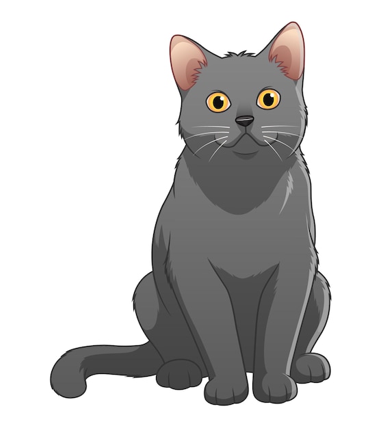 Design PNG E SVG De Animal Gato De Pelo Curto Britânico Para Camisetas