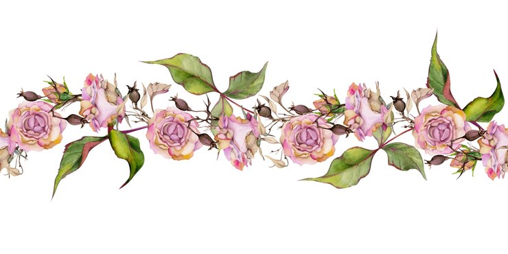 Vetor ilustração de aquarela desenhada à mão flores botânicas de boho folhas rosa hip dogrose outono