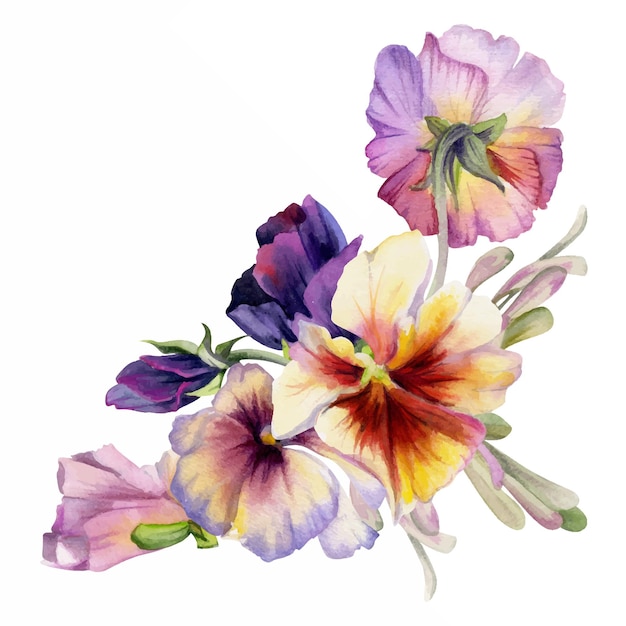Vetor ilustração de aquarela desenhada à mão flores botânicas vitorianas folhas pansy viola violeta cinza bordo