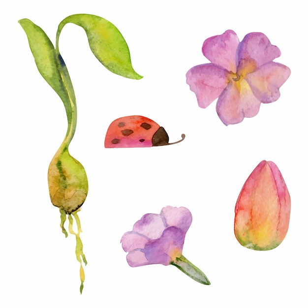 Vetor ilustração de aquarela desenhada à mão flores e folhas de jardinagem de primavera planta da natureza narcisos primula tulipa mariposa objeto único isolado em fundo branco embalagem de scrapbooking de loja de impressão