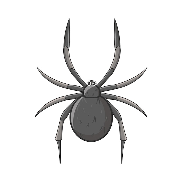 Vetor ilustração de aranhas