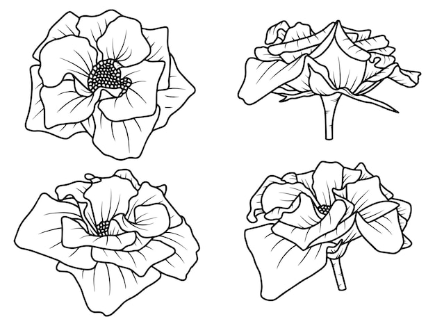 Ilustração de arte de linha de esboço de flor desenhada à mão