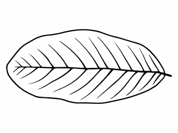 Vetor ilustração de arte de linhas de folhas