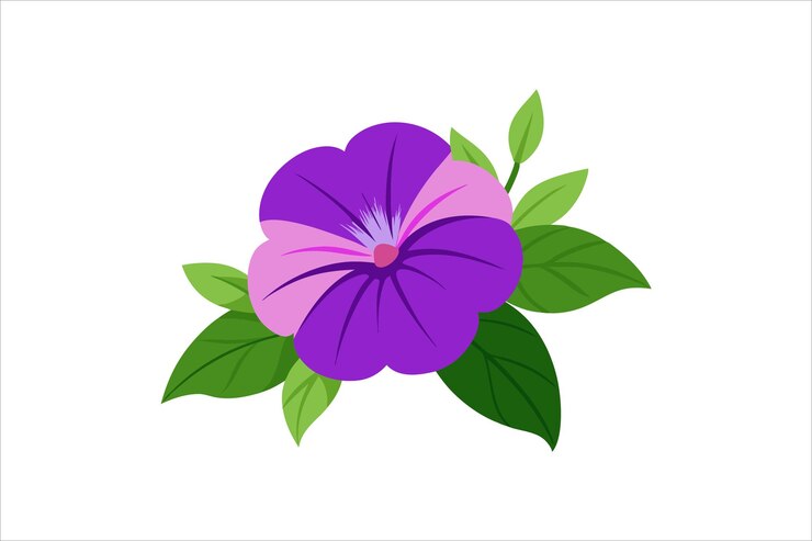 Vetor ilustração de arte vetorial de flores de petúnia