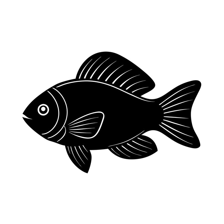 Vetor ilustração de arte vetorial de silhueta de gourami e design de cor preta de peixe gourami