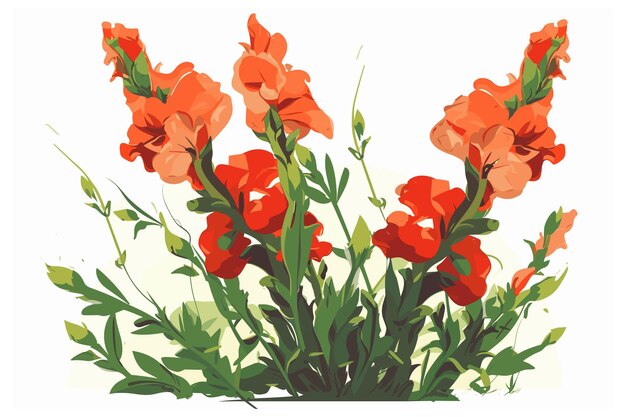 Ilustração de arte vetorial snapdragon em fundo branco