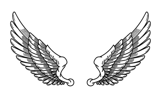 Ilustração de asas em estilo de tatuagem isolado no fundo branco. Elemento de design para logotipo, etiqueta, crachá, sinal. Ilustração vetorial