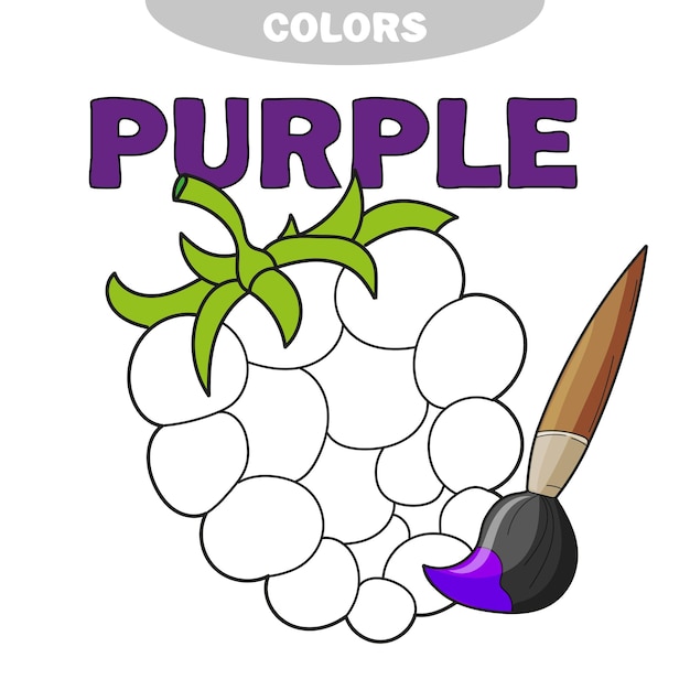 Ilustração de bagas pretas e brancas isoladas para livro de colorir. educação pré-escolar. ilustração vetorial. atividade de crianças. aprenda as cores - roxo