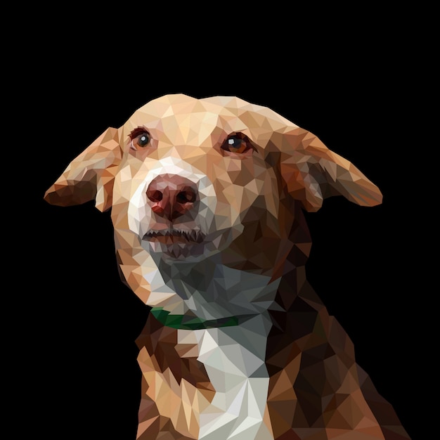 ilustração de baixo poli cão