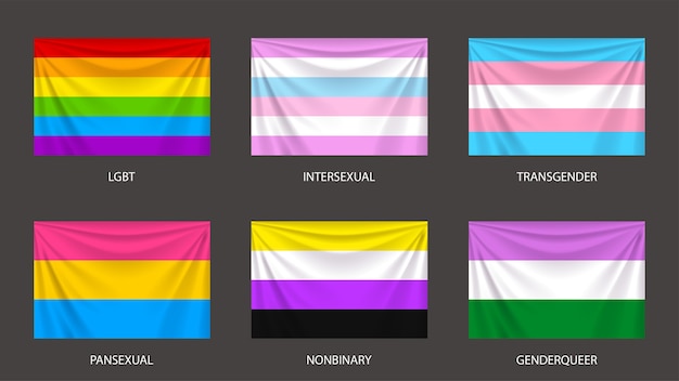 Vetor ilustração de bandeiras coloridas realistas de sexo e gênero em cinza