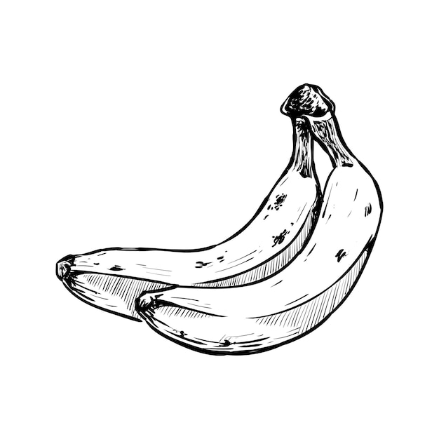 Ilustração de bando de banana em estilo desenhado à mão