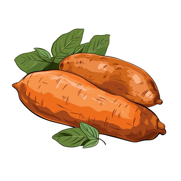 Vetor ilustração de batata doce de cor plana desenhada à mão