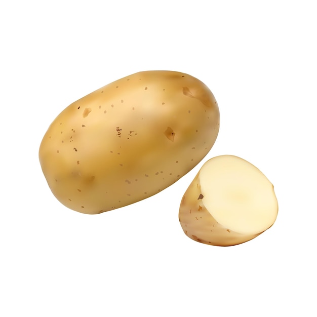 Ilustração de batata em fundo branco vol 01