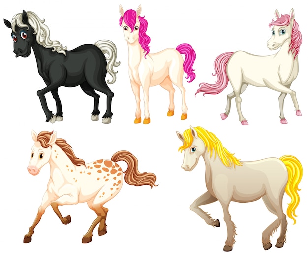 Ilustração de belos cavalos