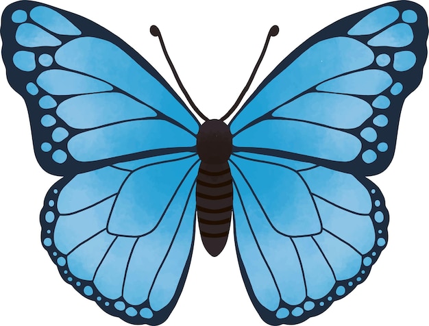 Vetor ilustração de borboleta simétrica azul