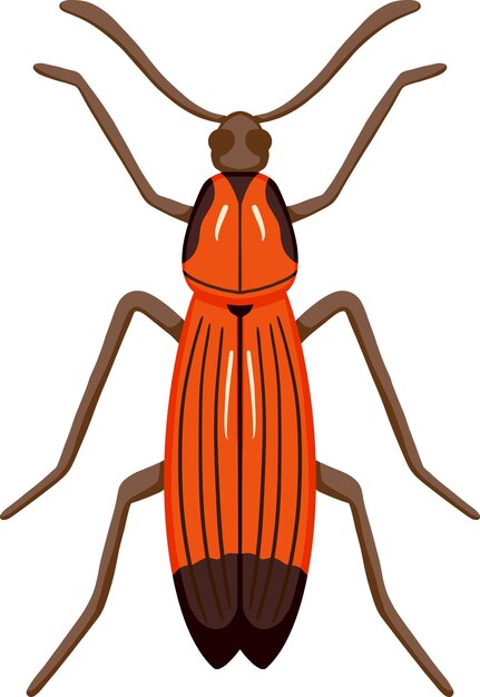 Vetor ilustração de bug laranja