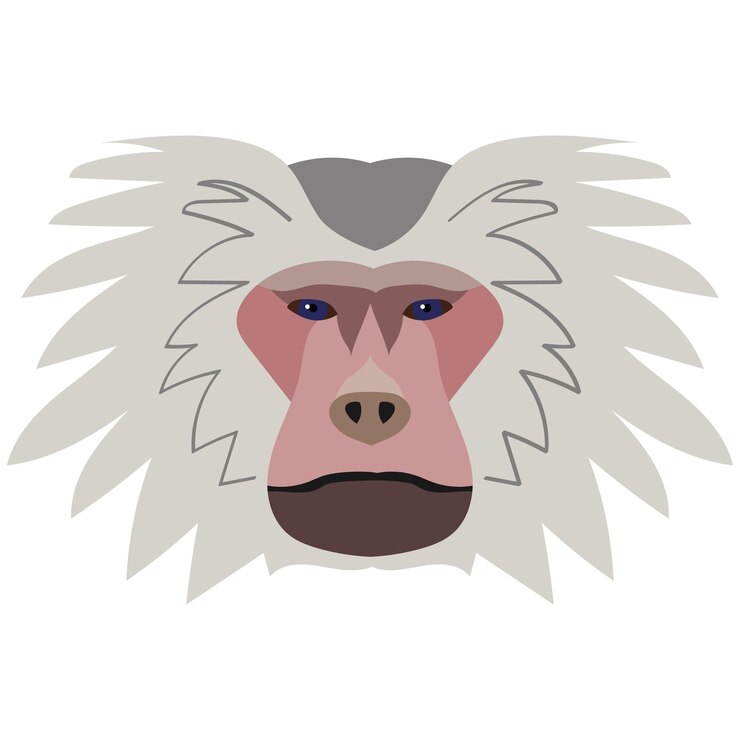 Vetor ilustração de cabeça de babuíno hamadryas logotipo de estilo plano gráficos vetoriais de imagem de desenho animado