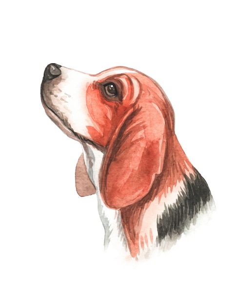 Vetor ilustração de cachorro fofo pintado à mão em aquarela