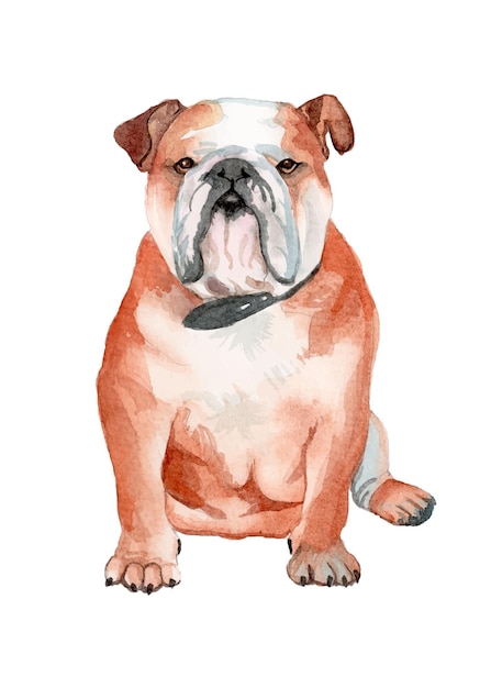 Vetor ilustração de cachorro pintada à mão em aquarela