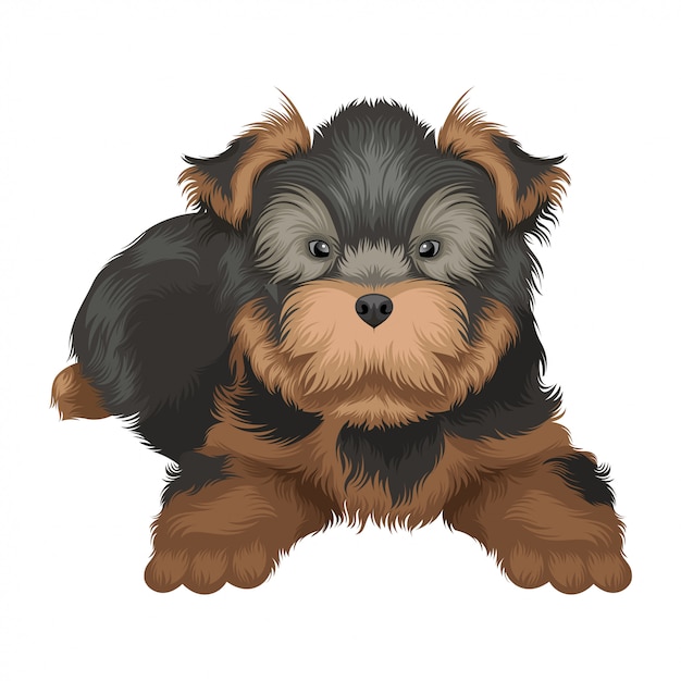 Ilustração de cachorro yorkshire terrier