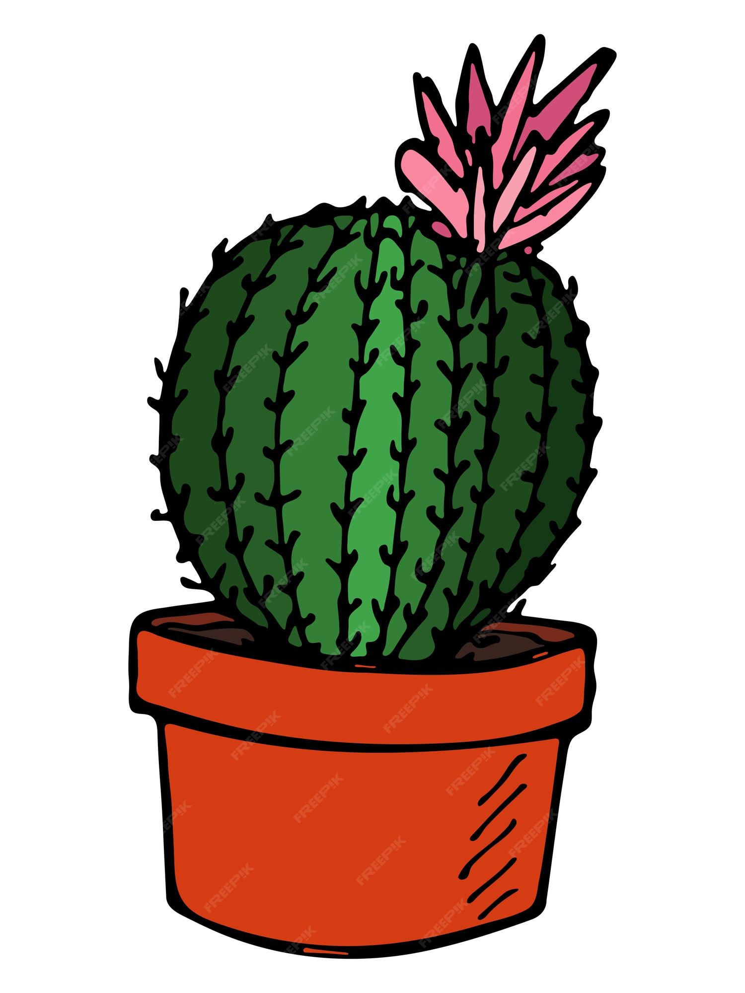 cacto simples desenhado à mão bonito. planta de casa em um clipart