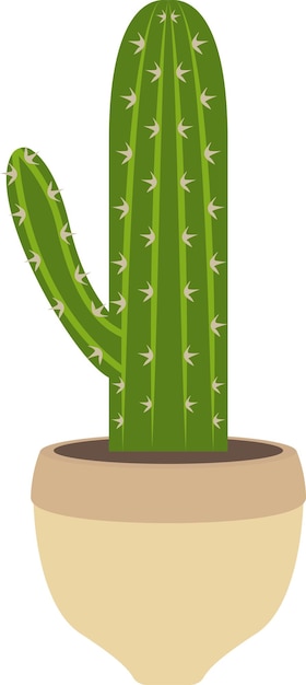 Ilustração de cactos e suculentas, planta suculenta Cactaceae Doodle desenho,  cacto dos desenhos animados, personagem de desenho animado, folha, grama  png