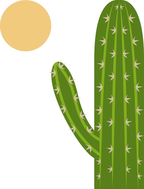 Ícone De Ilustração Do Vetor De Planta Do Cactus Ilustração do Vetor -  Ilustração de decorado, liso: 161261048